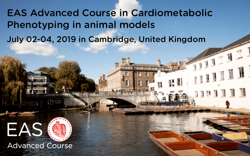 TVPLab's tweet photo. EAS Advanced Course on cardiometabolic phenotyping in animal models is now open for applications – MAKE SURE TO APPLY BEFORE THE 7th of APRIL!!! https://t.co/vahj9CdWOd
#TVPLab #EAS @society_eas https://t.co/BSJEaE217Z