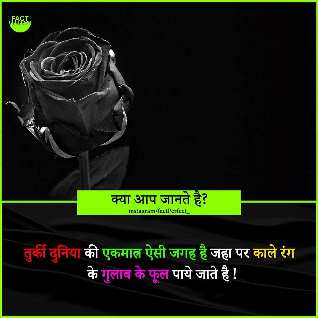 PerfectFact's tweet photo. Follow us for more updates @factperfect_ https://t.co/JOa6uKT4oE