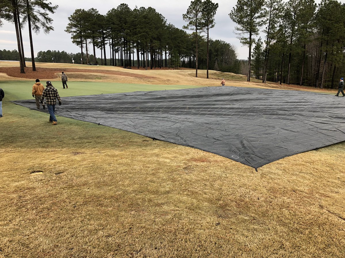 Dan Taylor tweet media