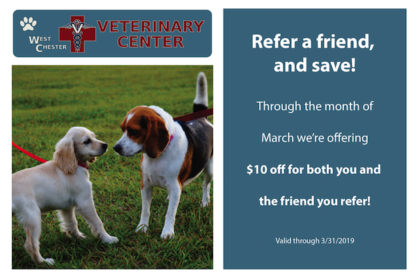 WCVetCenter's tweet photo. Don't miss this great promo for a referral! https://t.co/RkSckdDozz
513-755-2273 https://t.co/4zcmzcjm8G