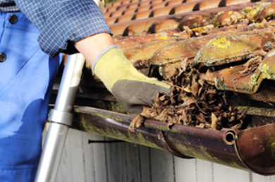 guttercareuk's tweet photo. Do Your #Gutters Look Like This❓Give Us a Call Today and Arrange a #Free #Quotation!

02392 230 055 

#Roofline #Fascia #Soffit #Cladding #Maintenance #Repair https://t.co/yvQce6A0uq