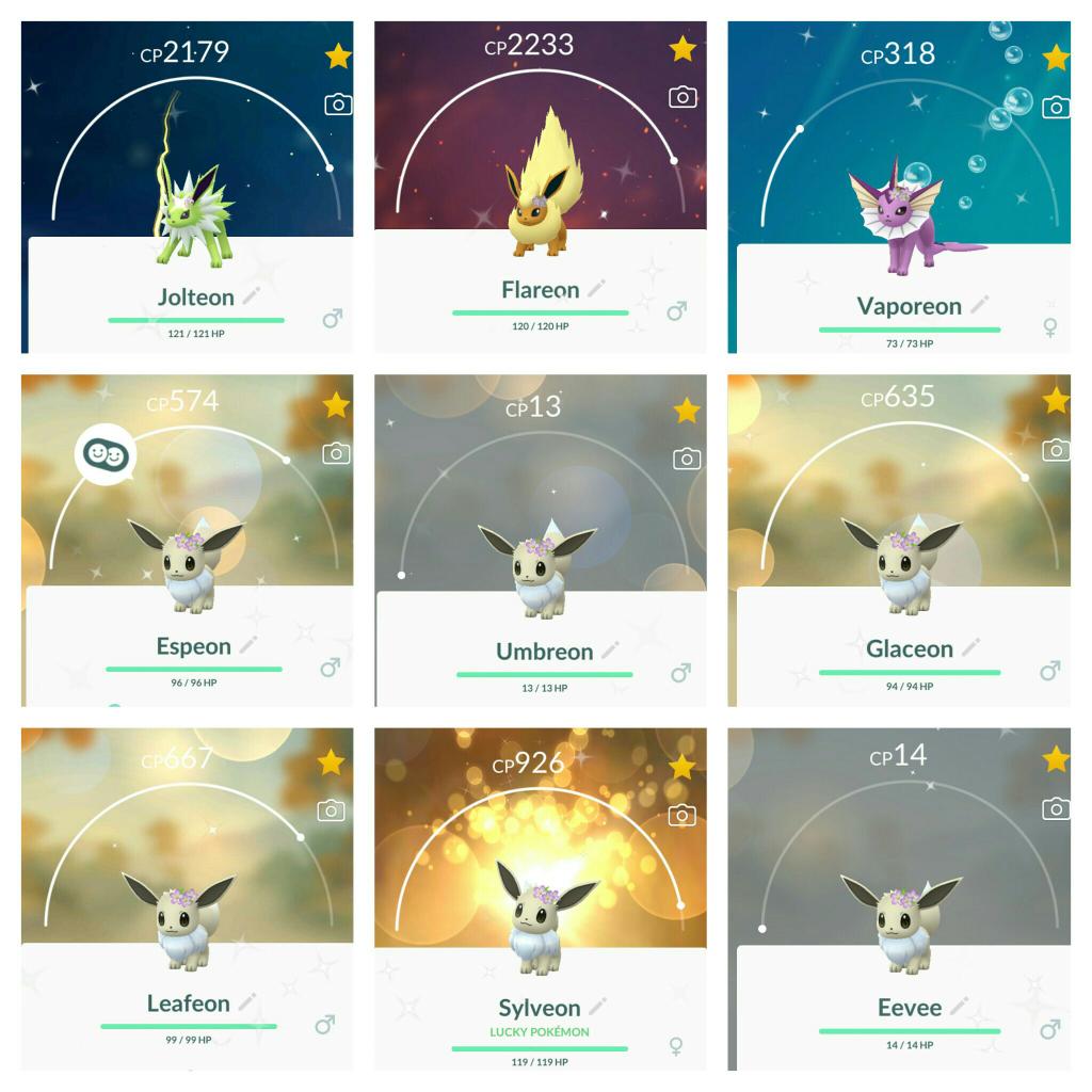 Iv Coord Updates Pokemongo Finally Done With Shiny Flower Crown Eevee Collection Now Time To Walk 10km And Evolve Eevee In Day Night For Umbreon Espeon Apparently