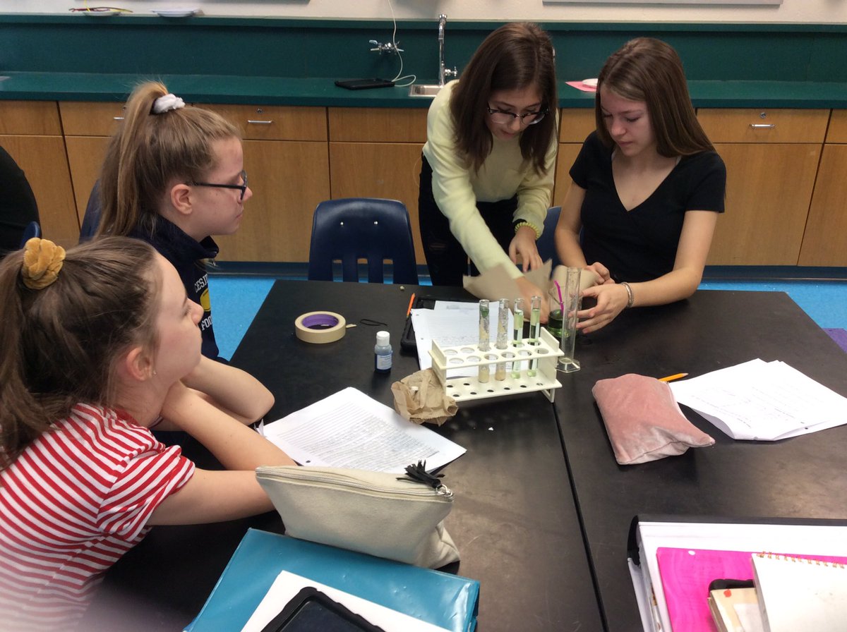 SraQuiroga's tweet photo. Alistando las plantas para el laboratorio de fotosíntesis @APSscience @APSGunston https://t.co/xQuWWlVrb0