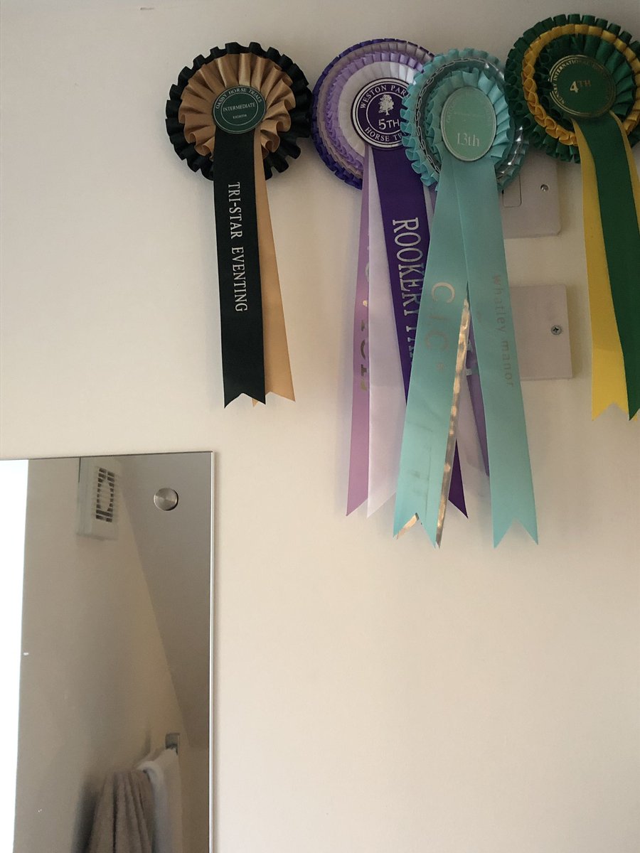 club_average's tweet photo. Lucky to have such a supportive significant other🤥. Kindly offered to put up a display of my notable rosettes from last season 😂(in the toilet🙄) 
#DidntTakeLong #WorthTheEntryFees 😳#AverageHorseOwnersClub https://t.co/W01Rk7EnxO