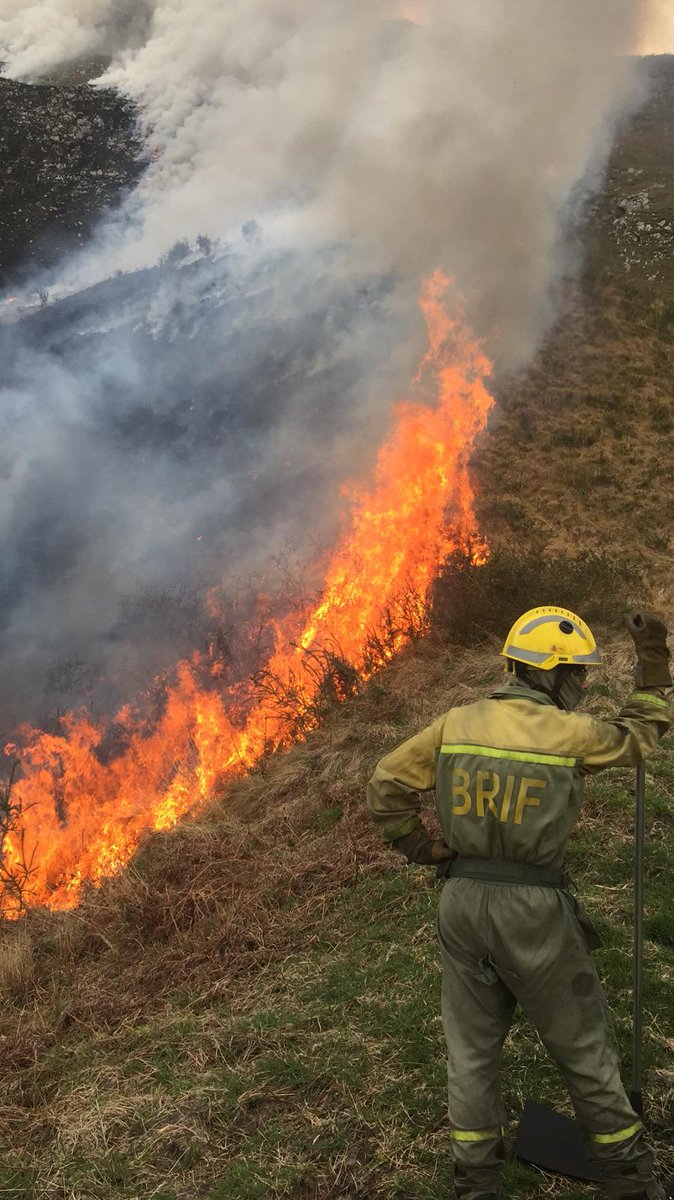 AT_Brif's tweet photo. 15:17 Impresionantes📷nos llegan desde #IFParres #Asturias compañeros
➡️2#BLP @BrifTineo combaten este incendio sólo con batefuegos, sin agua
➡️2#BLP @BrifTineo continuan trabajando en #IFCangasDelNarcea
➡️#BRIF-i @BrifTineo en #IFFaedo

#SomosBomberosForestales #BRIF de @mapagob https://t.co/Sn9FFyLF1F