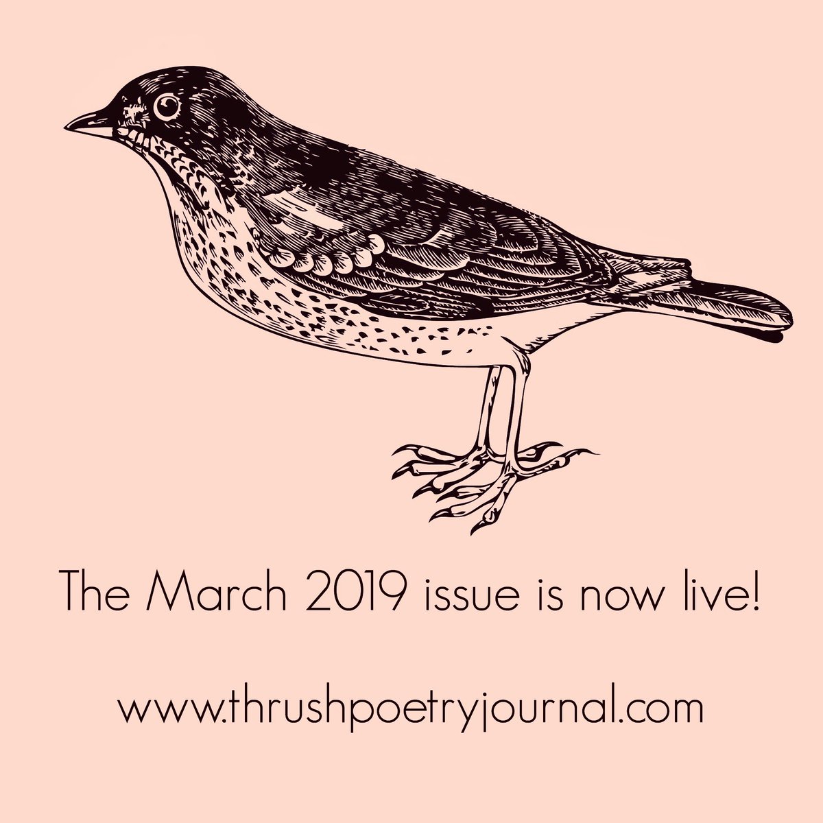 thrushjournal's tweet image. The March issue of THRUSH is live, bursting with lovely words by @HalaNAlyan, @poetlauren, @katebgaskin, @DorseyCraft, @thedeanwholived, @GenevieveKaplan, @james_merenda and others! We’re excited to finally share this with everyone! Read it here! thrushpoetryjournal.com/march-2019.html