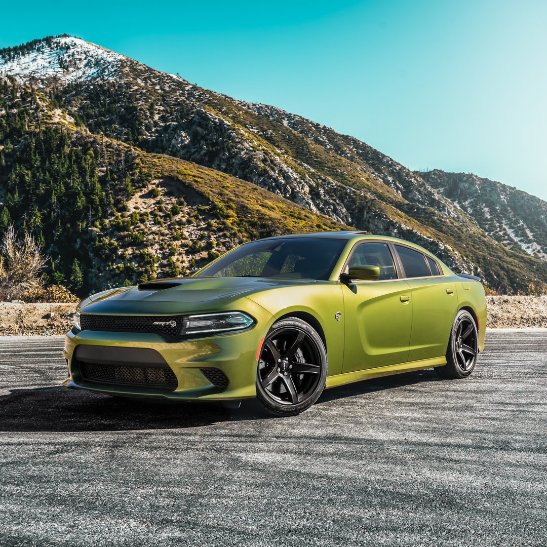 Born bold. (Photo Credit: Wil M.)