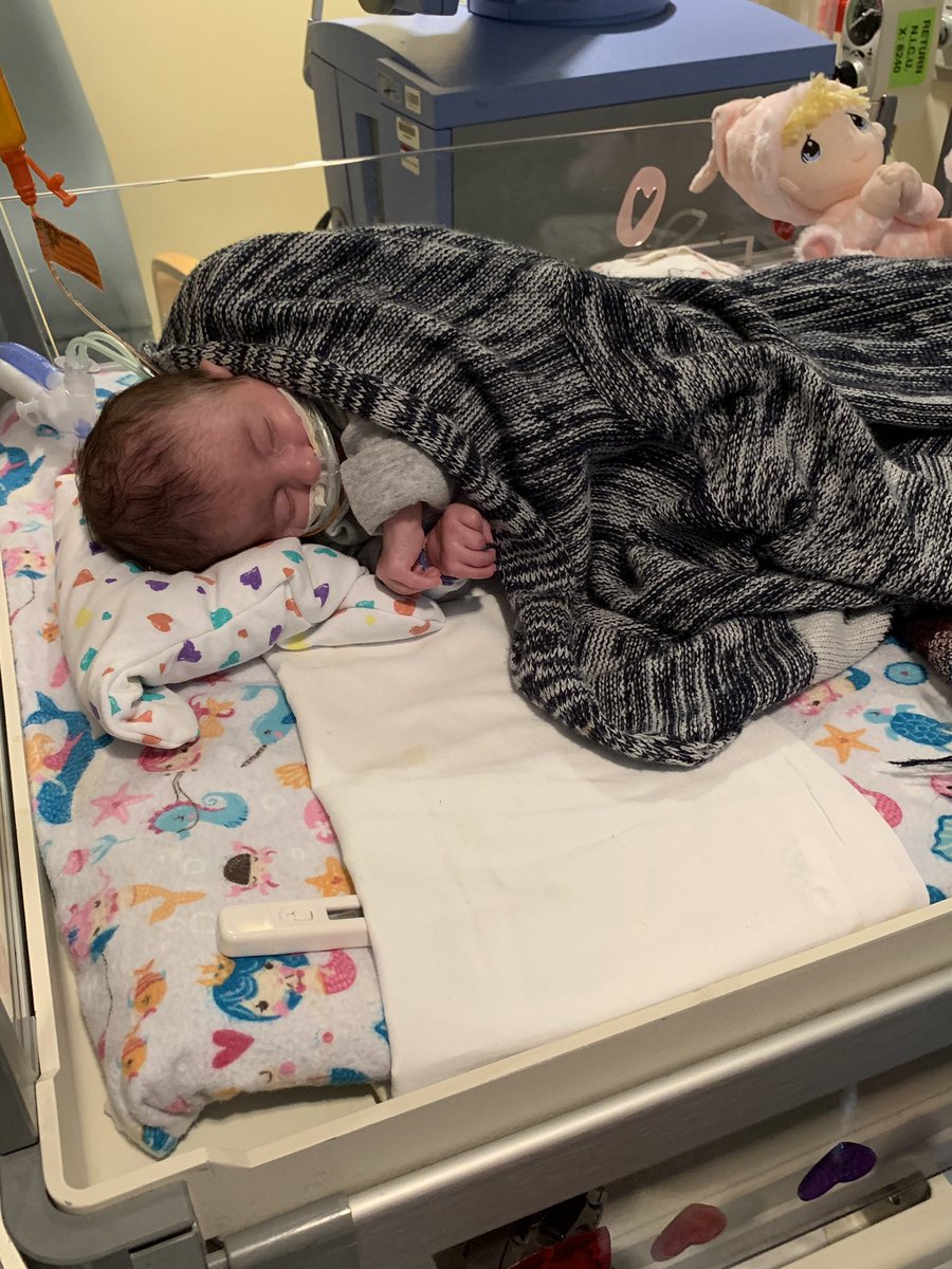 rl_lv99's tweet photo. You gave it everything you could have mamas. I will always love and think about you. Thank you for coming into our lives. This isn’t a goodbye more of a I’ll see you later little sister.❤️ 12.29.18-03.04.19 https://t.co/Ha5HmNwbC2