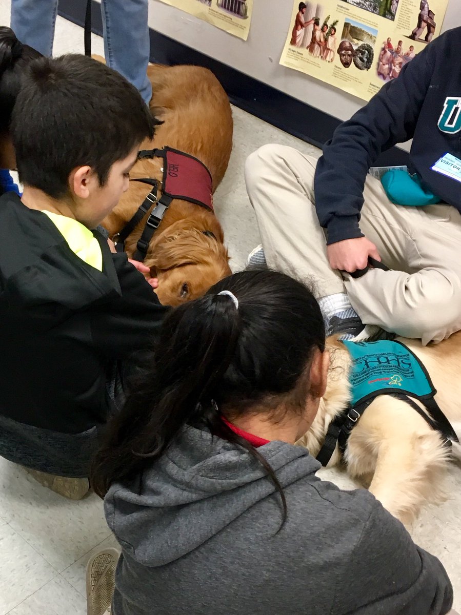Ss learned about service dog training with <a href="/paws4people/">paws4people</a> volunteers this morning and started the day with hearts full of joy thanks to these sweet pups! #NHCSchat #NHCSwellness <a href="/WillistonTigers/">Williston Tigers</a> <a href="/RonnieVillines/">Ron</a> <a href="/kclark166/">Kim Clark</a> <a href="/Jill713/">Jill Larson</a> @MacELA24 <a href="/heatherbmaguire/">Heather Maguire</a>