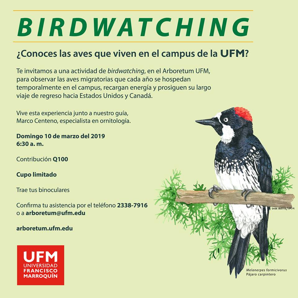 ¡Birdwatching Arboretum UFM! 
Tour guiado por Marco Centeno. Reserva tu espacio, cupo limitado. 
Domingo 10 de marzo del 2019.
#UFMNaturaleza #ArboretumUFM #BirdwatchingUFM