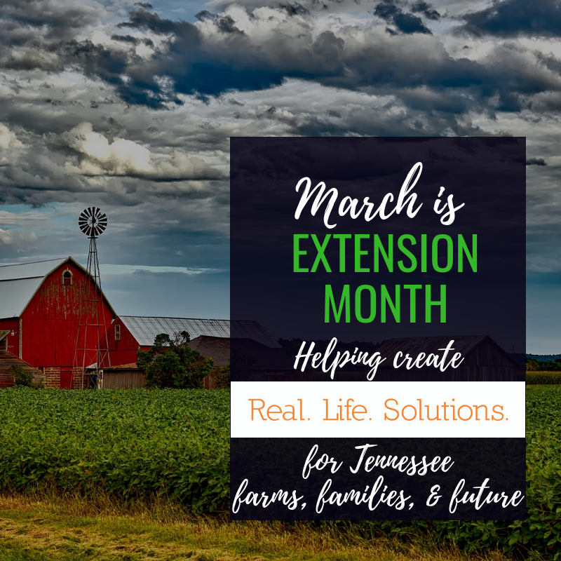 HoustonCo_UTExt's tweet photo. #ExtensionMonth #RealLifeSolutions #RealLifeSolutionsWesternReg #RealLifeSolutionsHoustonCounty https://t.co/GLh6tS7eVr
