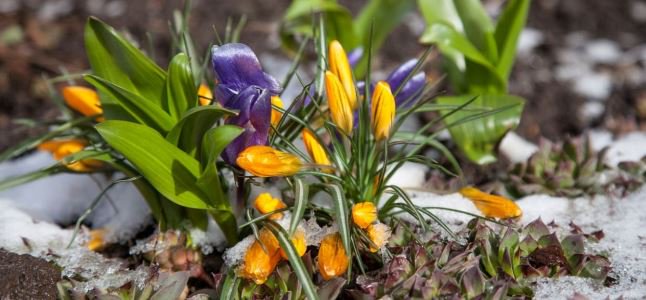#Astrologische  #Vorschau auf den März 2019: Ein fulminanter Zeichenwechsel und eine  exakter werdende Konjunktion prägen den neuen Monat mit Tiefgang und  Überraschungen. goo.gl/9Exfy5