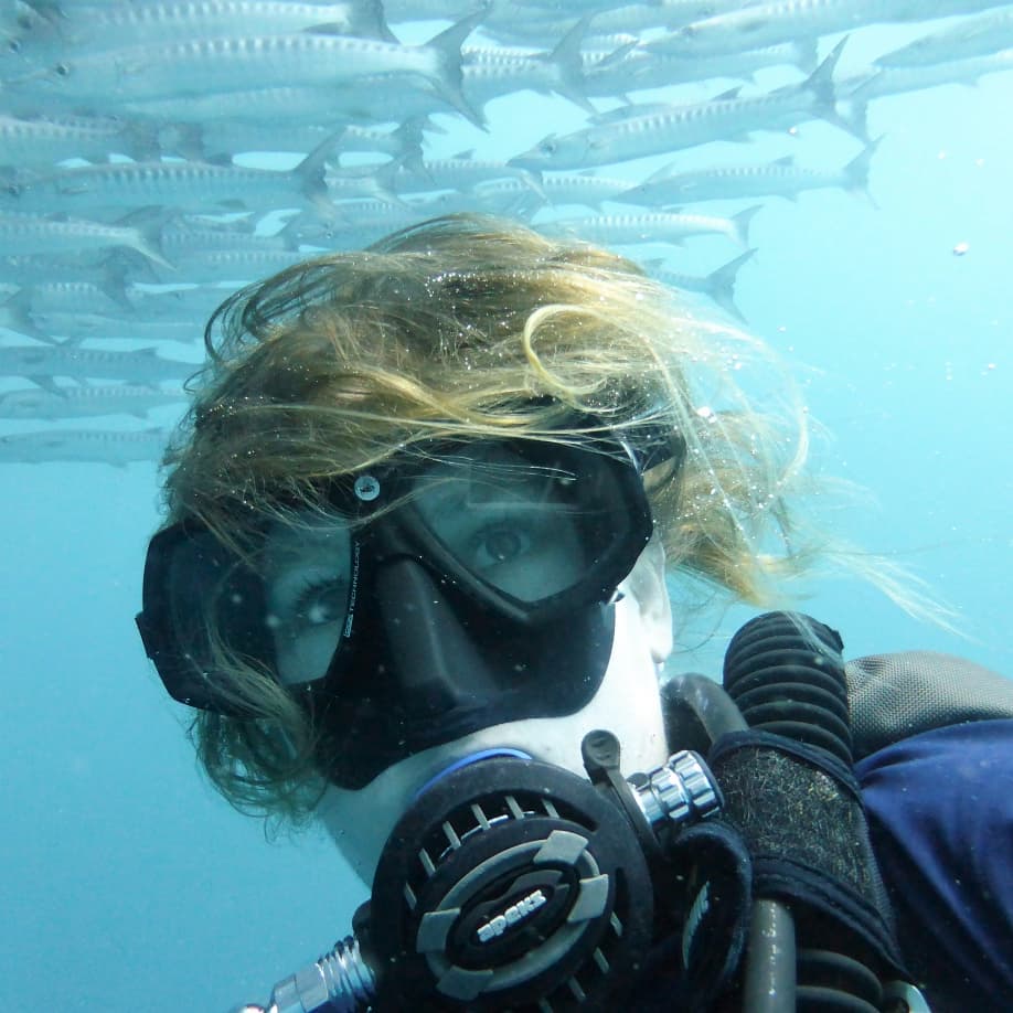 DiveSite_'s tweet photo. #Barracuda selfie :-)

#divesite #Borneo #Malaysia #Sipidan #Mabul #Kapalai #macro #marineconservation #saveouroceans #marinelife #underwaterphotography #nudibranch #scubadiving #scuba #turtles #girlsthatscuba #boysthatscuba #wanderlust #buceo #sealife #diverlife #bucketlist https://t.co/ScFNV8wC42