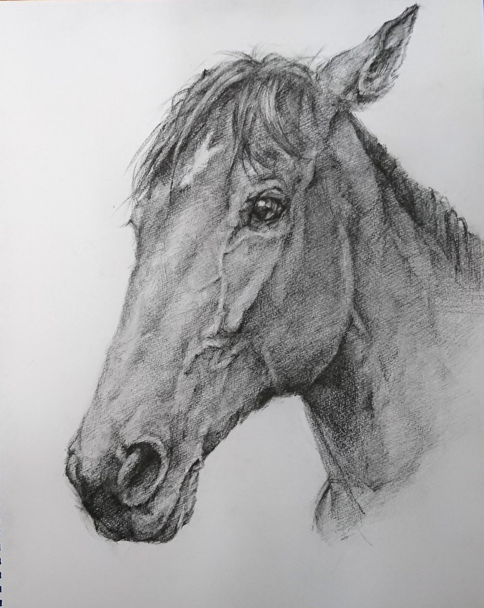 最も欲しかった 馬 絵 4030 最も欲しかった 馬 絵 4030