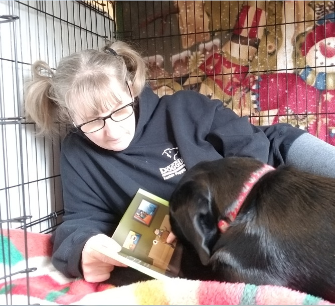 LFCDogGuides's tweet photo. #WhyIFoster - Sandi
โIt is one of the most satisfying feelings in the world watching a puppy graduate, meeting their forever person and knowing you can do it all over again!โ
Read more about Sandi's experience here: https://t.co/oAEIx777Sl https://t.co/3FnUXv2Lfy