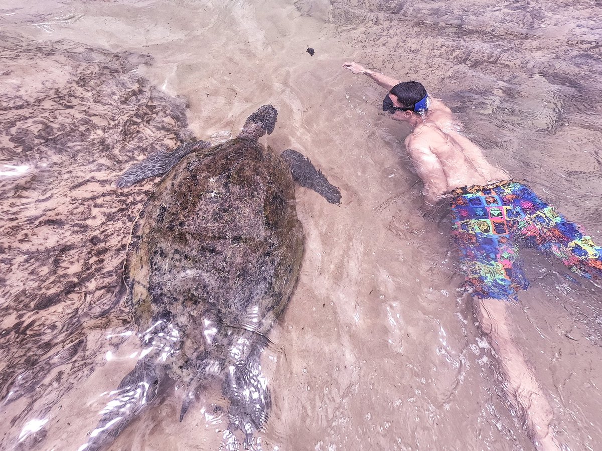 shaarin's tweet photo. Today was amazing!
Started the morning with swimming with the turtles.
#SRWtravels
#noahsfirst
#hikkaduwa
#srilanka
#shaarinoahanieissatravels https://t.co/up2MoQCsa8