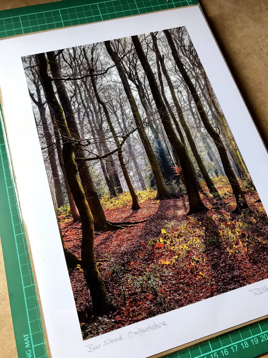ruth_rem's tweet photo. I love it when I can go from photo to a sold print in less than week !! #mondayphot #southoxfordshire #ukwoodland #creativemonday https://t.co/lXE4D6jnvc