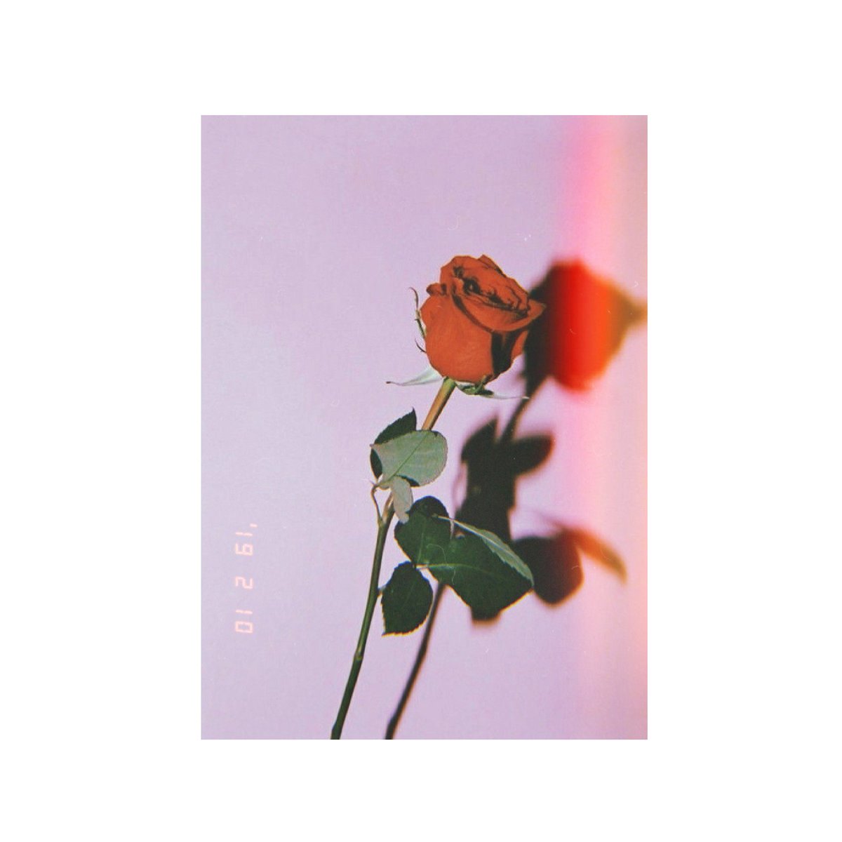 moonychIld94's tweet photo. ↳𝙞 𝙡𝙞𝙠𝙚 𝙩𝙝𝙚 𝘯𝘪𝘨𝘩𝘵. 𝙬𝙞𝙩𝙝𝙤𝙪𝙩 𝙩𝙝𝙚 𝘥𝘢𝘳𝘬, 𝙬𝙚'𝙙 𝙣𝙚𝙫𝙚𝙧 𝙨𝙚𝙚 𝙩𝙝𝙚 𝘴𝘵𝘢𝘳𝘴.— (☁) 💌ೃ࿐ ࿔*.° 

#ARMYSelcaDay #ARSD @BTS_twt https://t.co/uKBhsEzfgk
