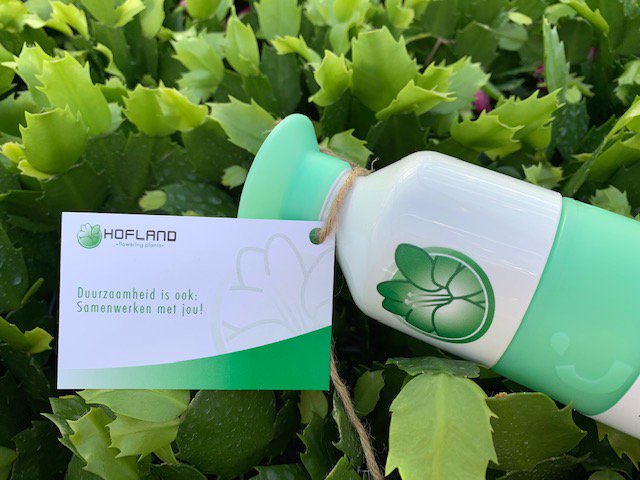 HoflandFP's tweet photo. #Duurzaamheid is ook #samenwerken met jou! #team en #klanten zijn de #basis, zonder hen geen #planten in de #kwekerij en geen #planten in de #winkels. #feelgreen #noplastic #doppers @Decorumcompany https://t.co/hO0Idcvzry