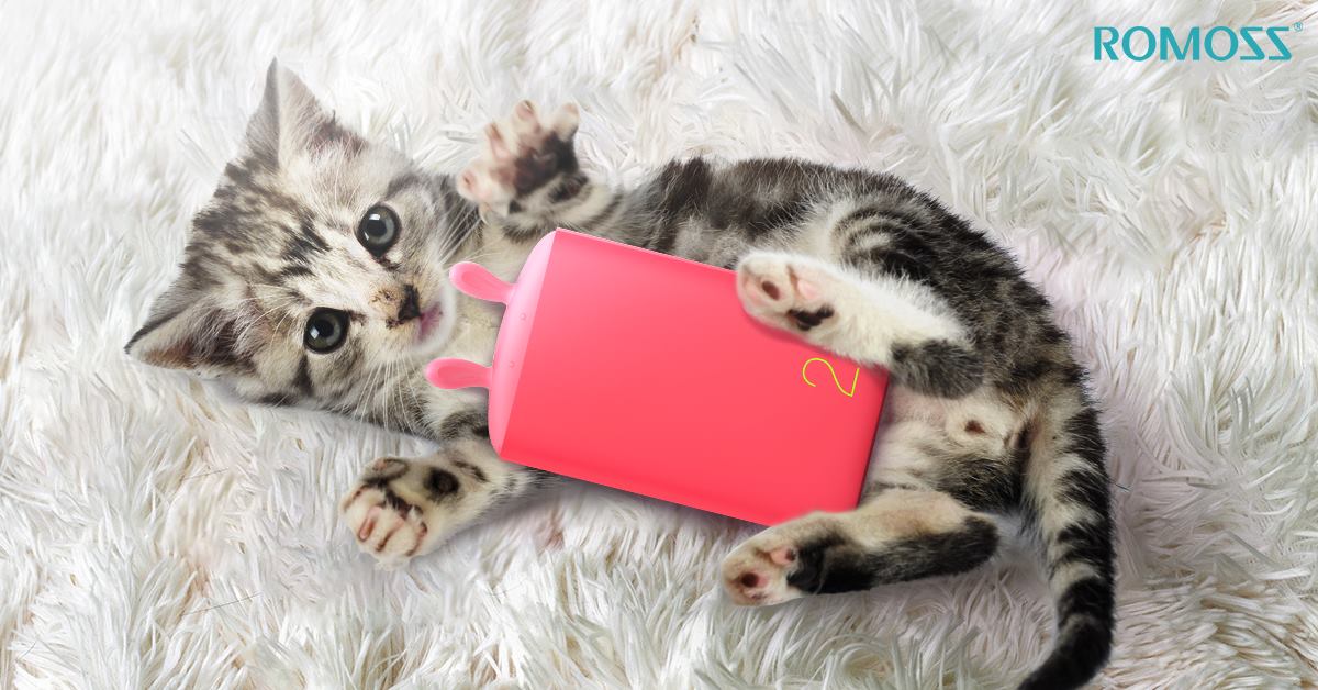 Kedi yavrusu gibi görünen bir powerbank mı? 😍
Romoss Lovely serisi powerbank.
#powerbank #romoss #6000mAh 
romossturkiye.com