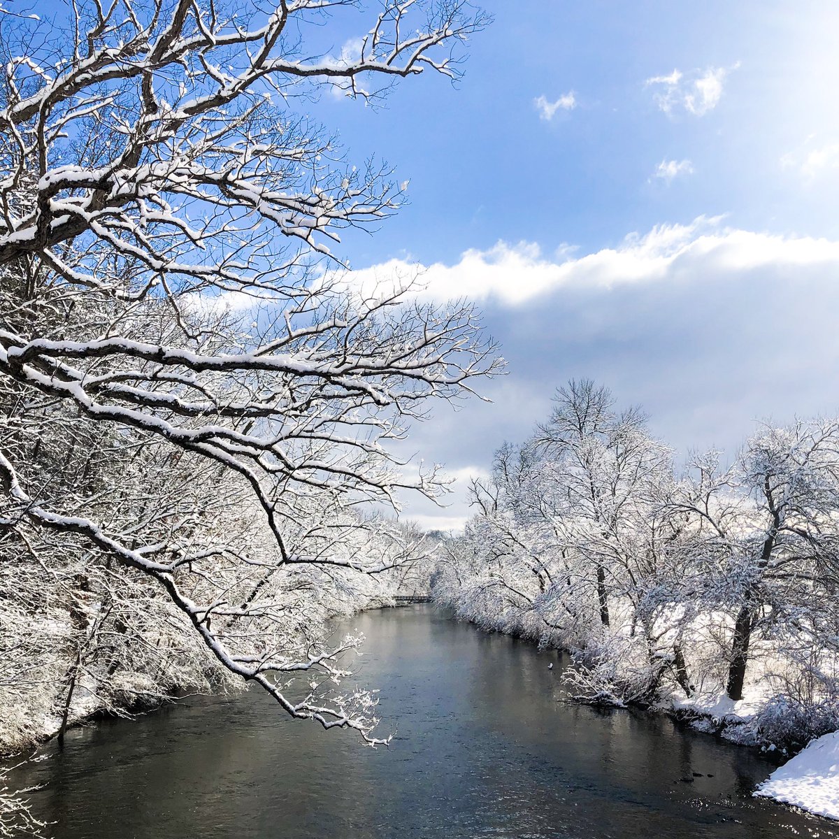 messiah_univ's tweet photo. It’s a sunny & snowy Monday here on campus! Are you loving this beautiful winter landscape or do you have spring fever? ☀️❄️ #WinterAtMessiah #MessiahSnow https://t.co/rqze2HGOMe