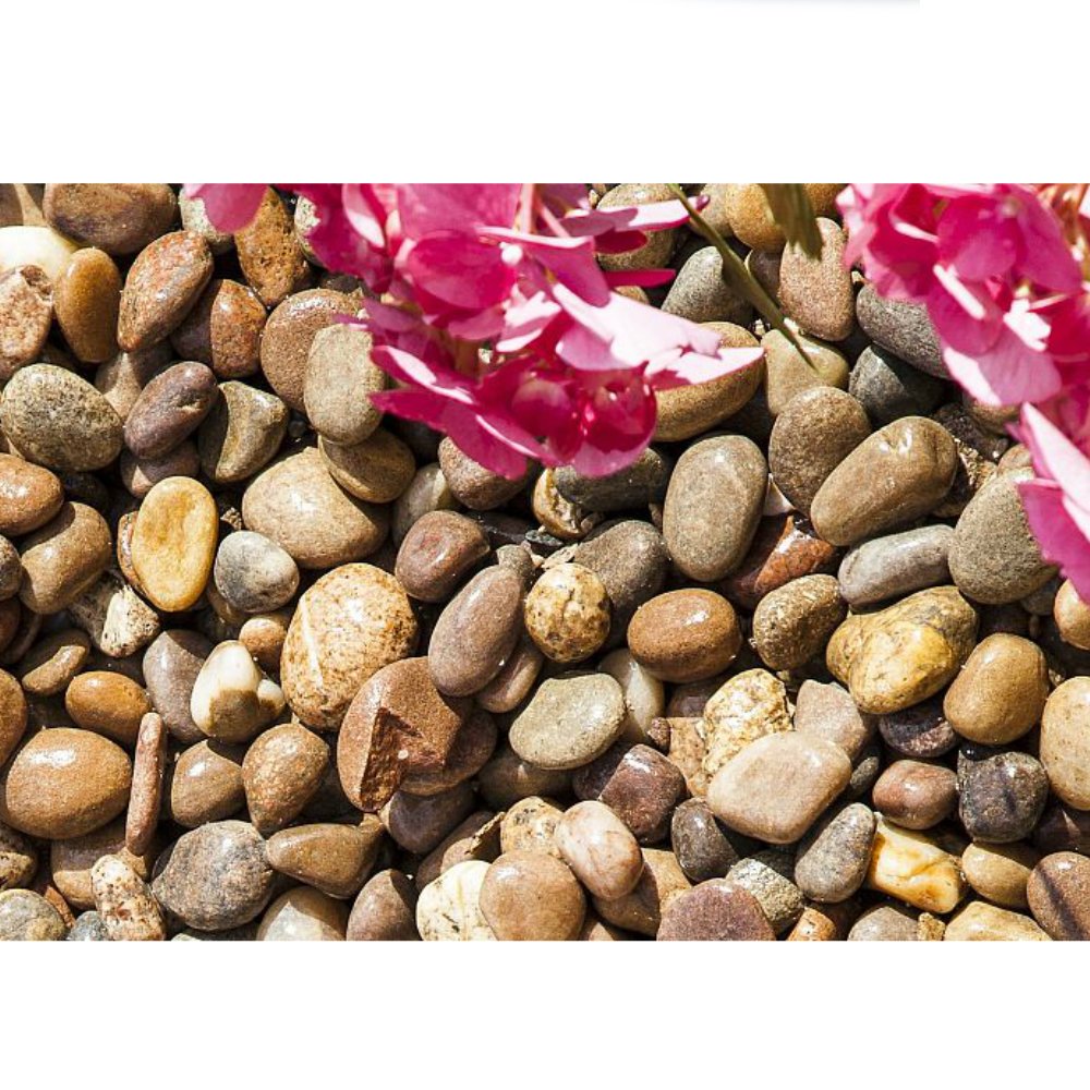 AshbrookRoofing's tweet photo. 🚀Decorative Aggregates have landed!🚀 

We now have in stock various decorative aggregates...
-Slate &amp; Stone Chippings
-Pebbles
-Cobbles
-Gravel
-Grit
-Sand 

Come and see us in our yard!
Or view online here - https://t.co/blnxQmqlni 

#aggregates #paving #chippings #gravel https://t.co/zFkSQHlHWP