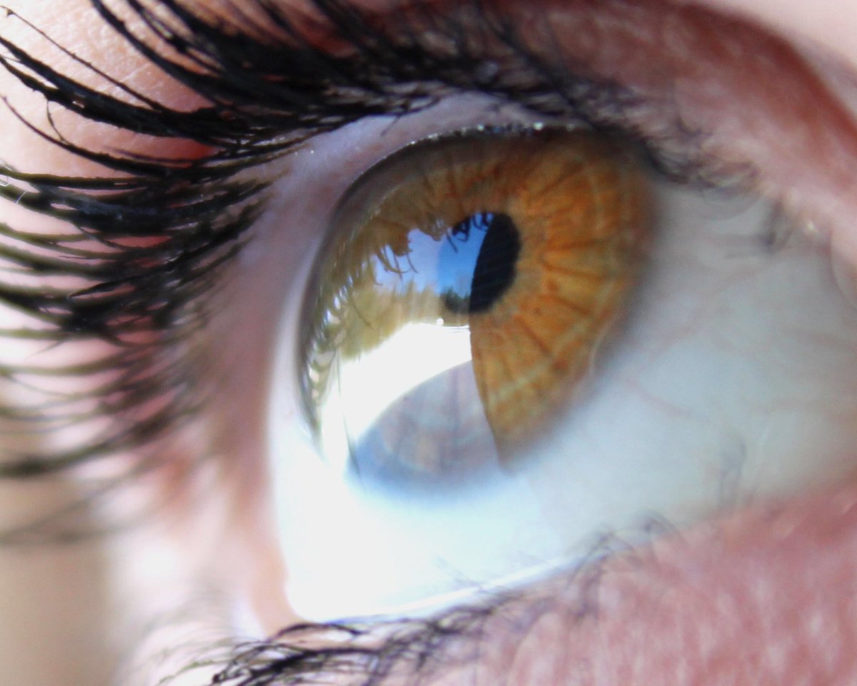 Creative Viking tweet media