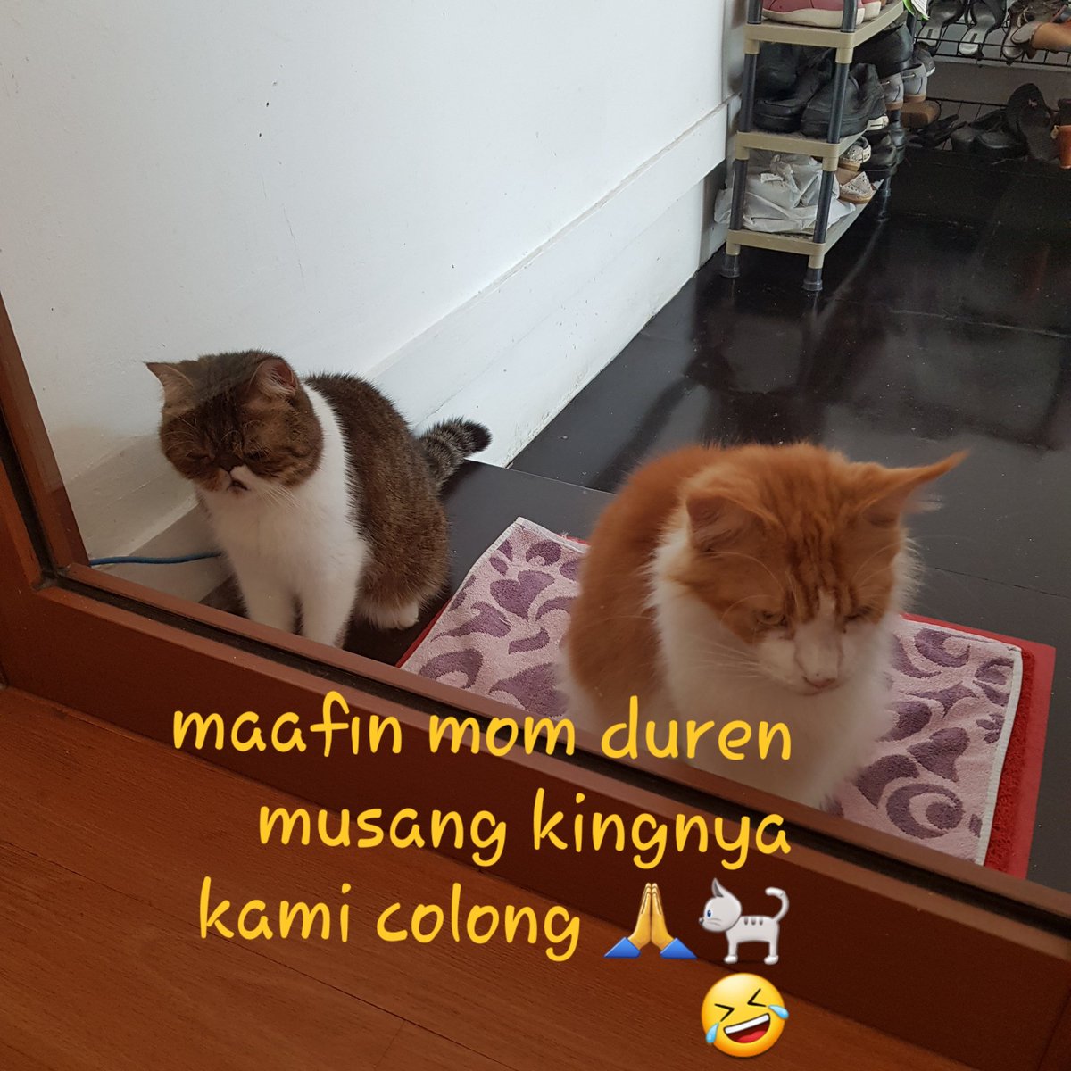 Escobar Meong tweet media