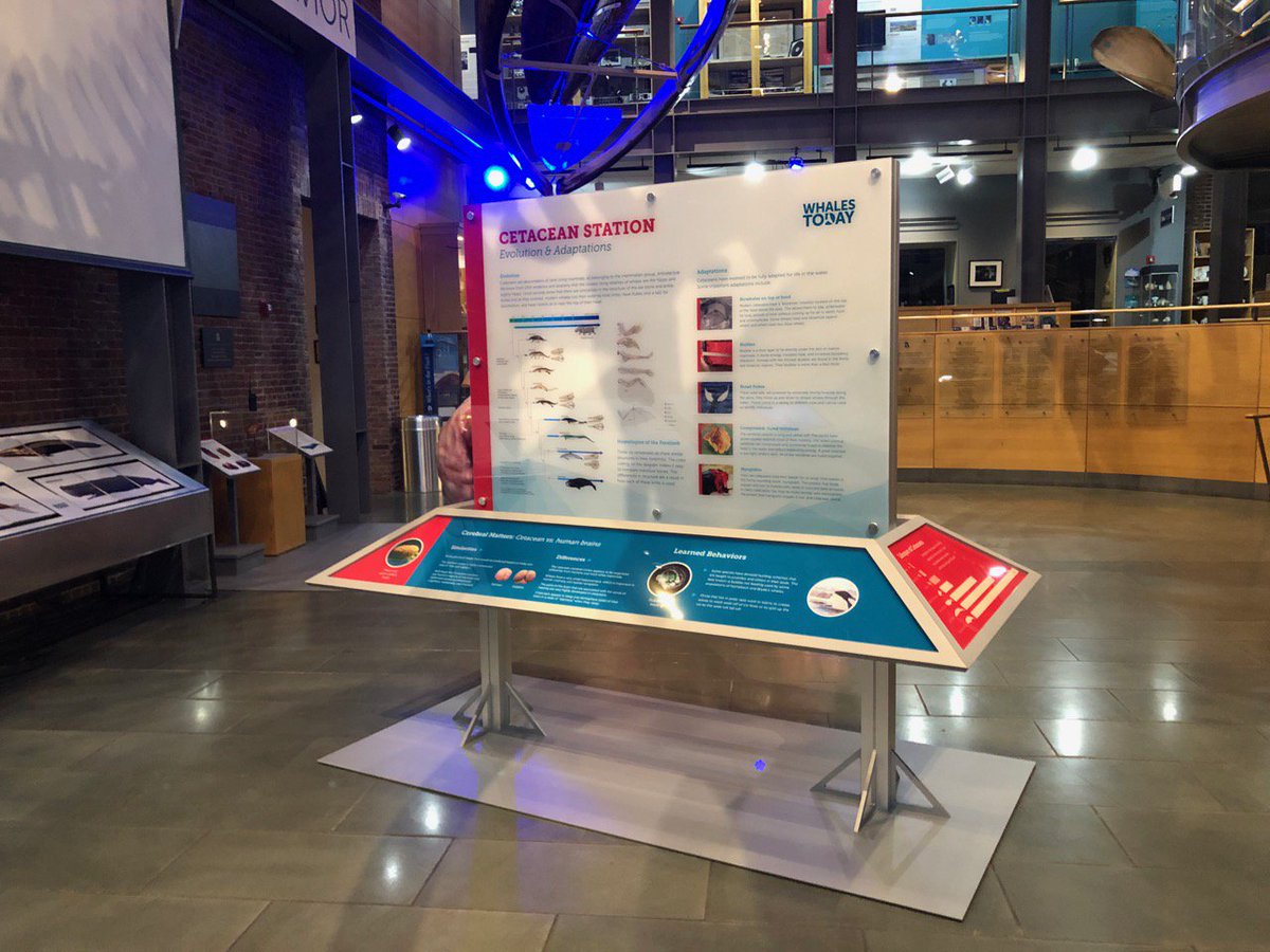 zapcreative's tweet photo. Whale Flukes and 2-Sided Info Kiosk built for the Navy and the New Bedford Whaling Museum #exhibitdesign #exhibitbuilder #museumexhibit https://t.co/tDF9ixMIyE