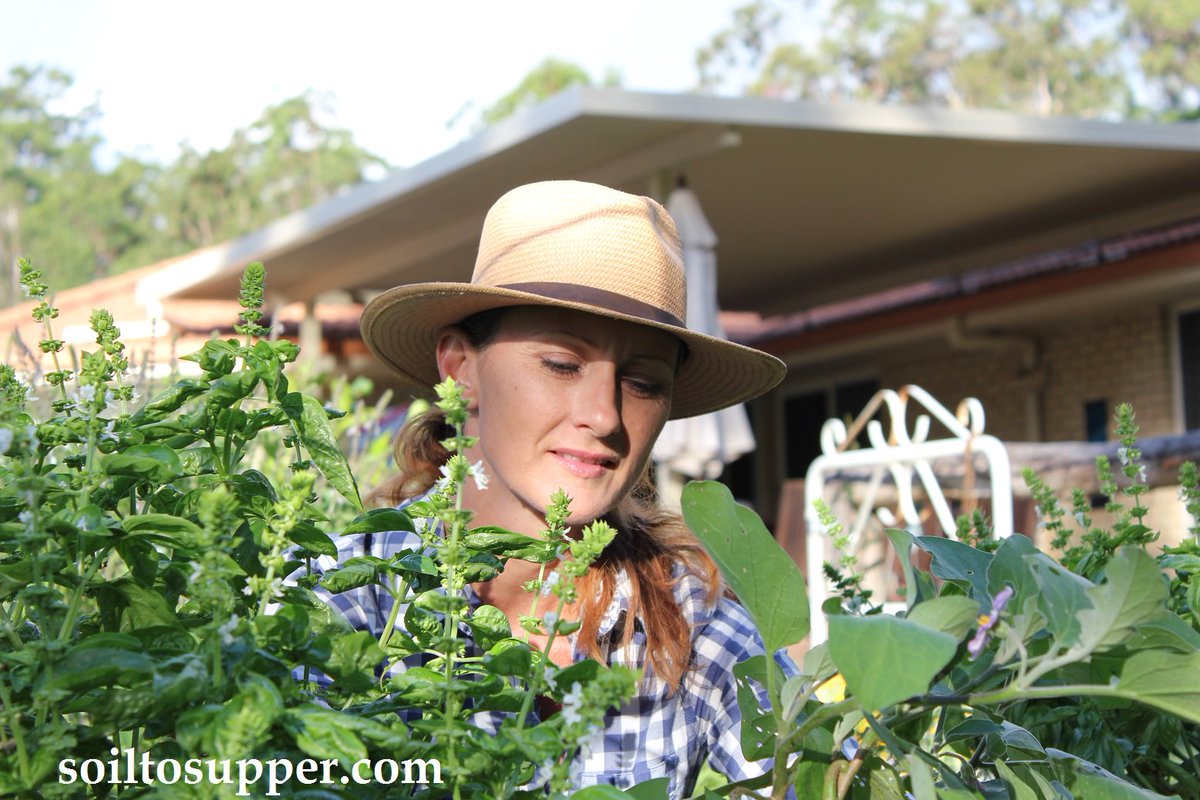 soiltosupper's tweet photo. Getting ready for #gardening this month? Find a few tips for #March growing here https://t.co/I95rxfr6HW #soiltosupper #growyourfood #therapeuticgardening https://t.co/BuAhzQYz9Z