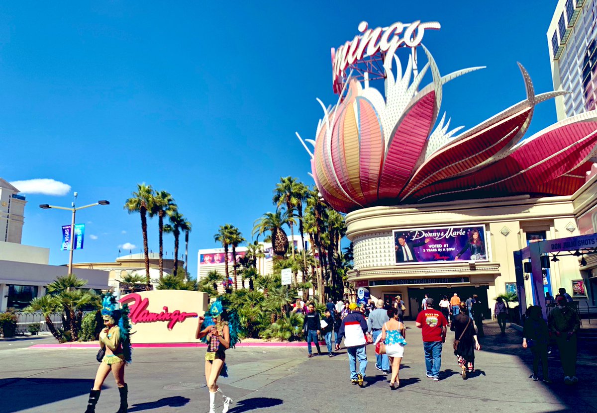 RT if you wish you were in sunny #Vegas! ☀️
