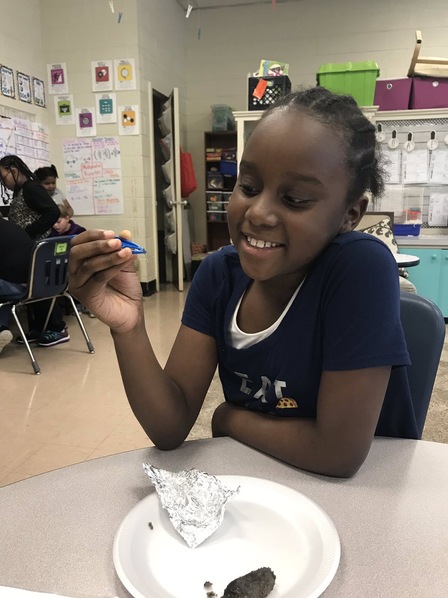 3rdGrdLemonade's tweet photo. Dissecting owl pellets after finishing Poppy 🦉 #mcdowellcrowd #mcdowellelementary @MauryCoSchools https://t.co/qUwF8aCRRo