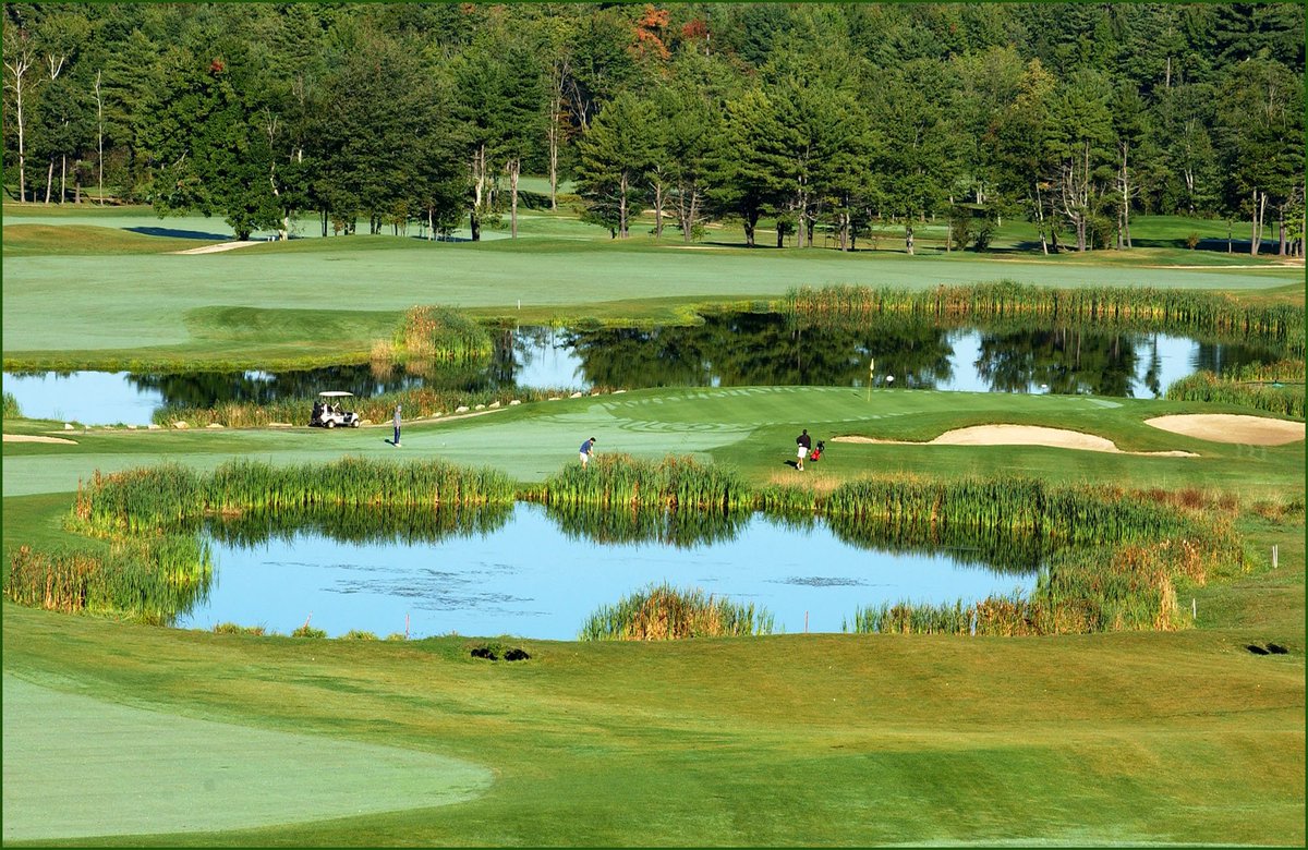 Spring Meadows ME Golf tweet media