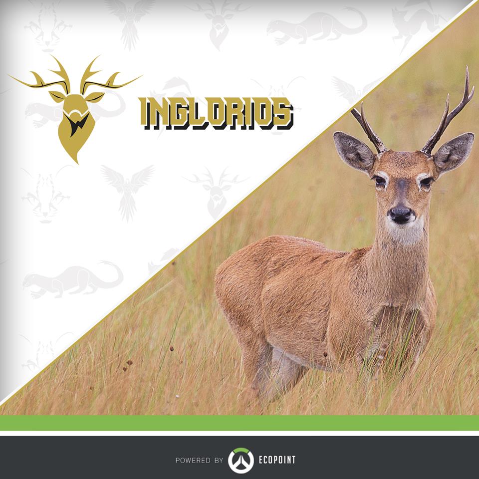 IngloriosE's tweet photo. Olá a todos, Venho informar nossos seguidores que nós fazemos parte do projeto para representar um animal em extinção na @AnduraOW e o animal escolhido foi o Cervo-do-Pantanal.
Esta espécie encontra-se atualmente na situação “vulnerável” de acordo com o IBAMA https://t.co/6CNqRMPtiB