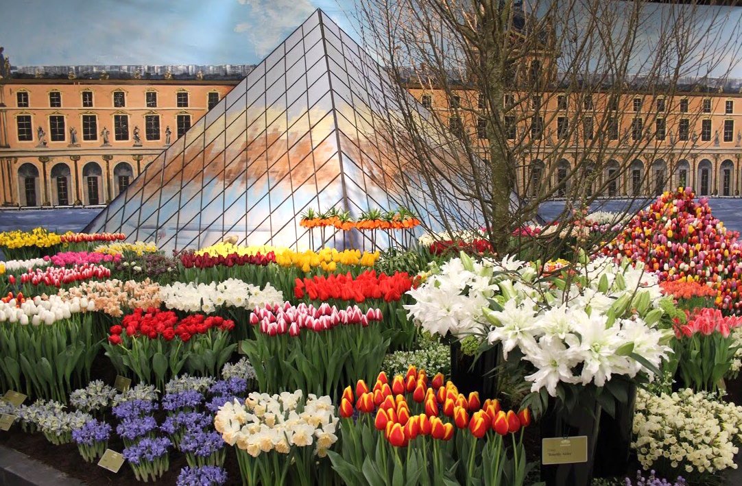 The pride of our town Breezand: the local bulbflowershow Lentetuin! This years theme: Vive les Fleurs, Paris! The show has ended today, but we say: Vive les fleurs, vive le Lentetuin! instagram.com/p/BumR0gaHciF/…