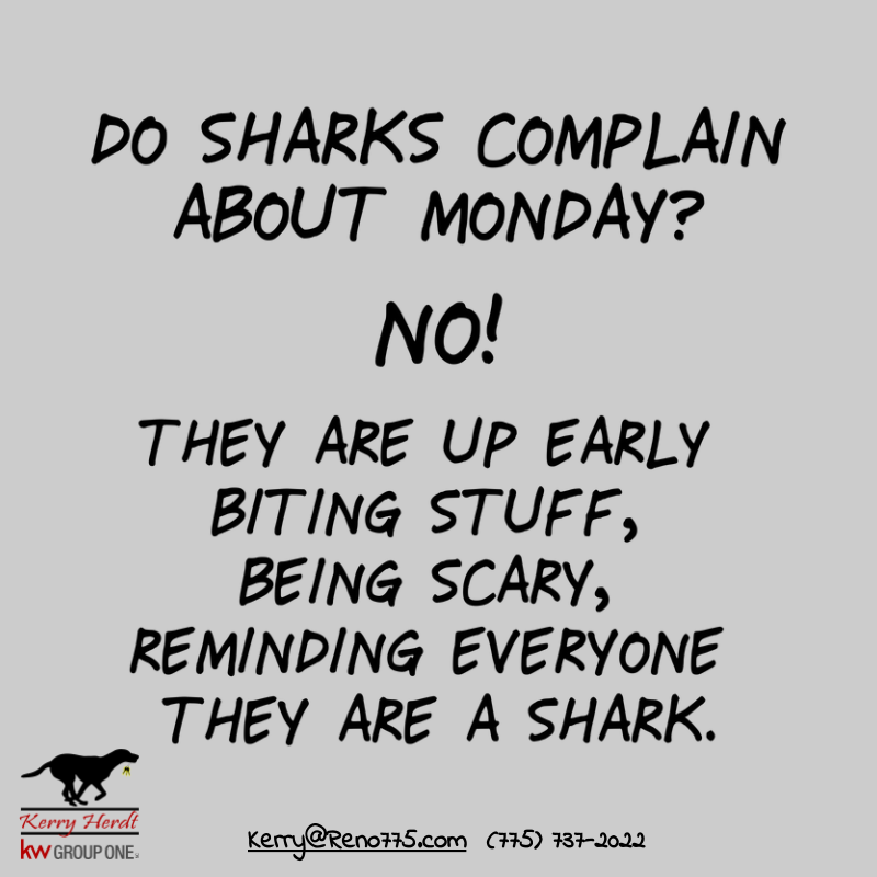 KerryHerdt's tweet photo. Are you a shark? #kerrysellsreno #realestatelife #mymotivation #Inspiring #nevadarealestategroup #kwgroupone #kwlife #mondayblues https://t.co/nBi8be3BZg