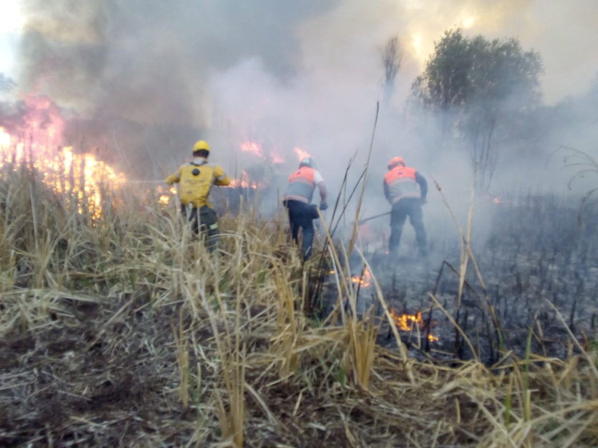 Personal de la Dirección General Táctico Operativa de la #SGIRPC, trabaja en el combate a un nuevo incendio forestal en Xochimilco.