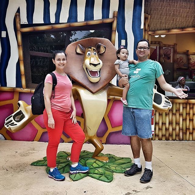 OsTuristasBr's tweet photo. Olha o leão!
#betoCarrero #tripify #floripa #ilhaDaMagia #praia #beach #carnaval #osTuristas #majuViaja #viajar #praia #feriado #Inspiração #naViagem @useTripify https://t.co/eD3mp4b5gO https://t.co/a42vGr986k