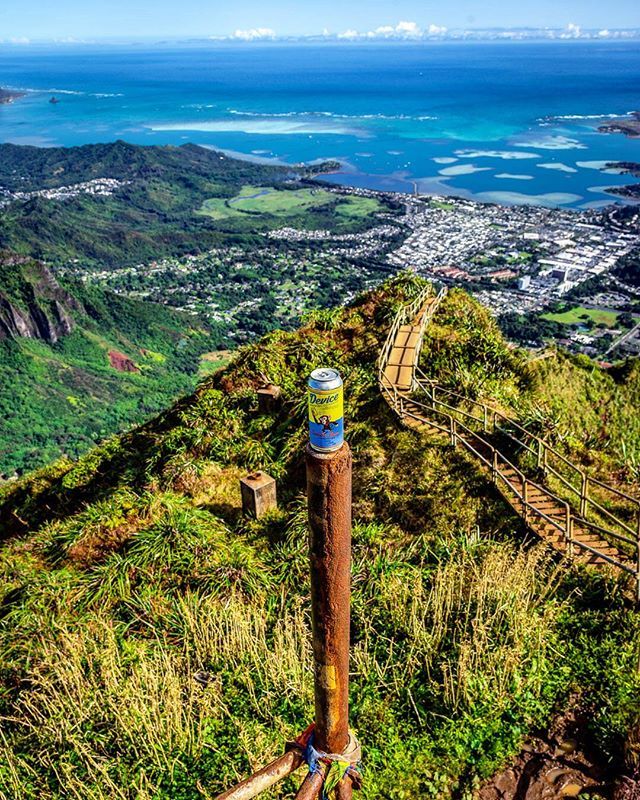 DeviceBrewing's tweet photo. Made in Sacramento. Drank in Oahu, HI. Happy Monday 🍻👍 #stairwaytoheaven #curioushaze #happymonday #oahu #hawaii #deviceworldwide 📸: @kylesadvntrs .
.
.
#beerwithpurpose #communitygrown #familyowned #drinklocalbeer #madeinsac #deviceblocks #theicebl… https://t.co/UBrFwPQ9mw https://t.co/CatAOY5oI7