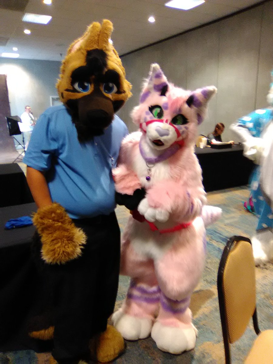 ScarletJanefox's tweet photo. Well I ended up not taking that many photos this weekend, but here's some I took of @Sotowolf2016 and some fursuiters! Tag them if you know them #gfm19 #gfm2019 https://t.co/spJz0uazQx
