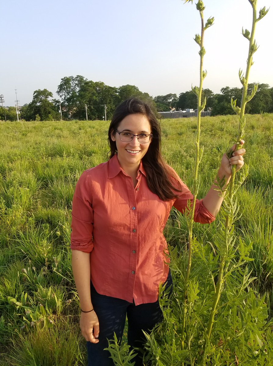 ecologyllc's tweet photo. We are happy to share that our ecologist cassi saari is the newly elected president of the Illinois Native Plant Society - Northeast Chapter! @ILplants https://t.co/68Q0FFcIA0