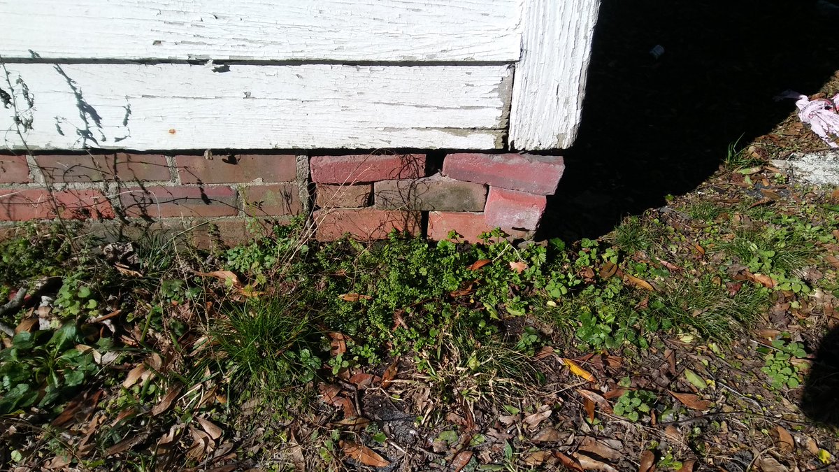 Michell99620729's tweet image. #ineedhelpplease
#sodepressed