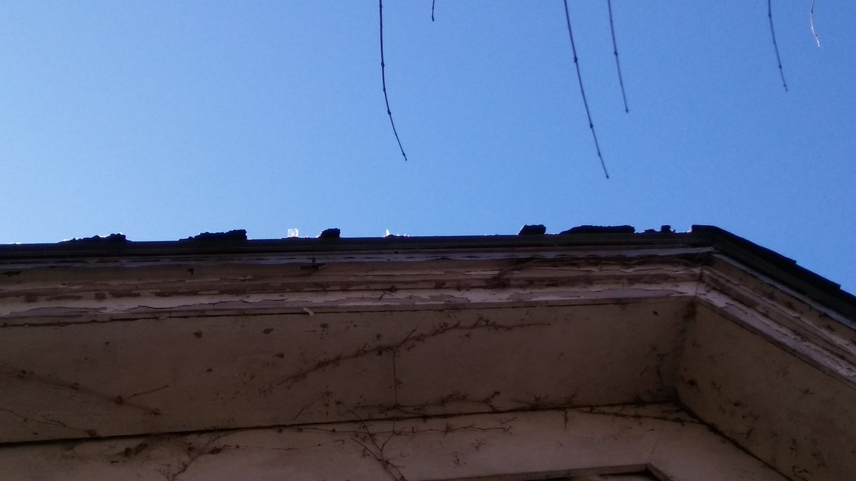 Michell99620729's tweet image. #ineedhelpplease
#sodepressed