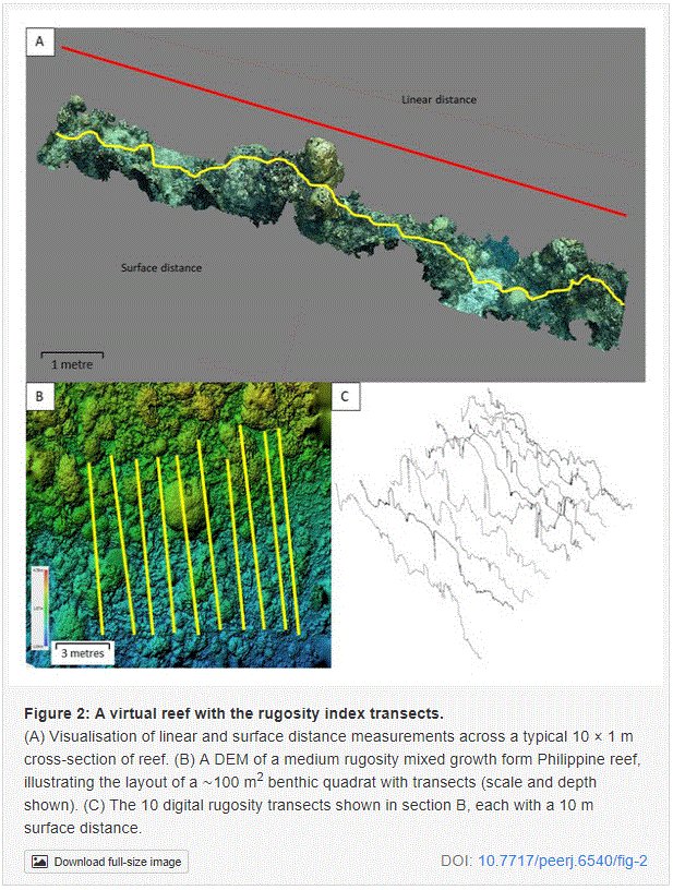castillaCFS's tweet photo. An interesting article I handled as editor on underwater #SfMphotogrammetry has been published today @thePeerJ https://t.co/cVJFFKjKl7 #ConservationBiology #MarineBiology https://t.co/7MVCjinwrR