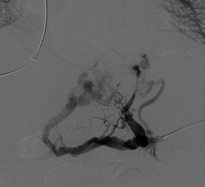 Nathan Ertel MD tweet media