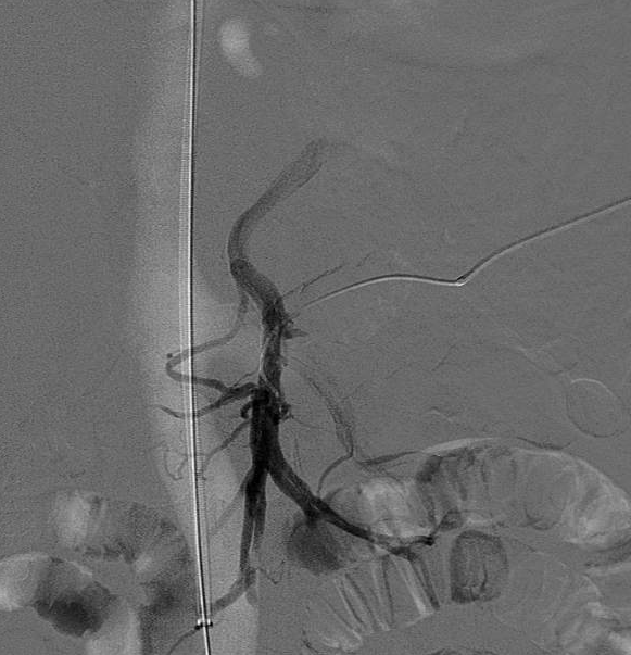 Nathan Ertel MD tweet media