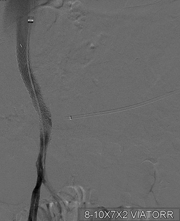 Nathan Ertel MD tweet media