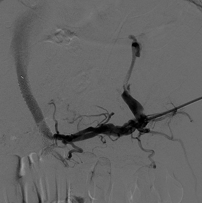 Nathan Ertel MD tweet media