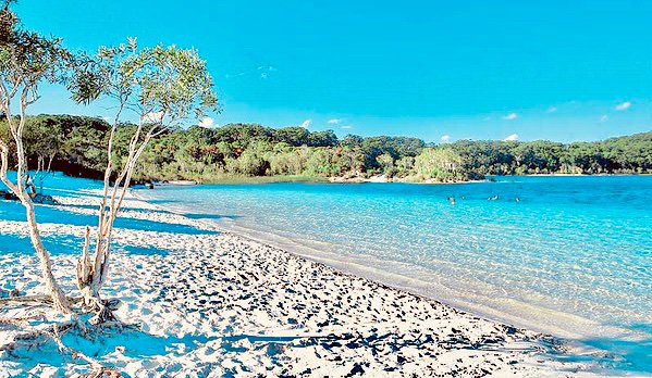 TheBitfi's tweet photo. How to make $1 million:

Step 1: Buy 1 Bitcoin
Step 2: Go to the beach
Step 3: Relax https://t.co/35dfwvDNWU