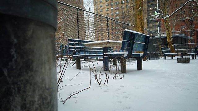 MickeyDiles's tweet photo. Walking around Harlem. °
°
°
Caminándola por Harlem.

#Cold #Park #Snow #NYC #Harlem
#Winter https://t.co/jI4gpSnThx https://t.co/PC8IAFxlLb